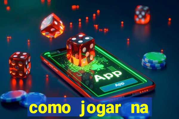 como jogar na lotinha do jogo do bicho