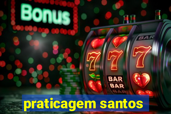 praticagem santos