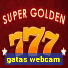 gatas webcam