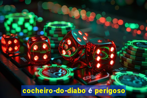 cocheiro-do-diabo é perigoso