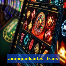 acompanhantes trans baixada fluminense