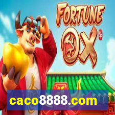 caco8888.com