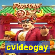 cvideogay