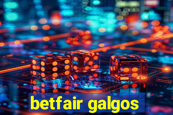 betfair galgos