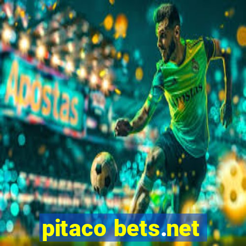 pitaco bets.net