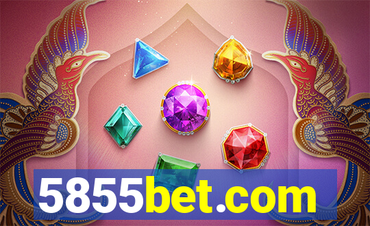 5855bet.com