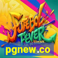 pgnew.co