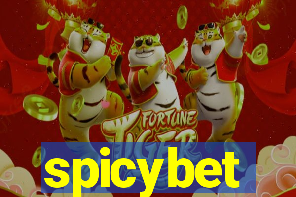 spicybet-2.com