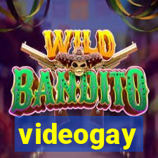 videogay