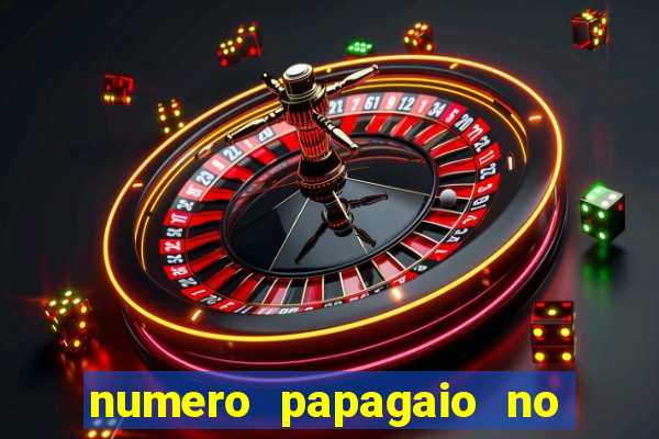 numero papagaio no jogo do bicho