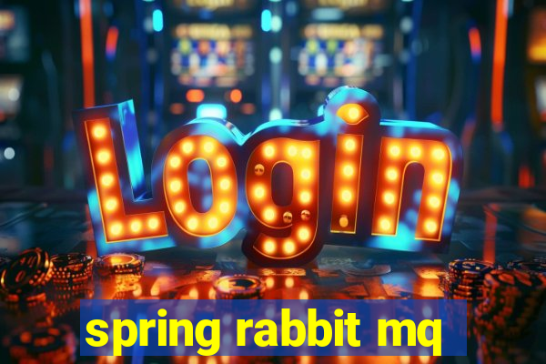 spring rabbit mq