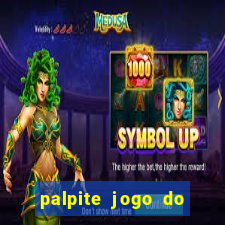 palpite jogo do bicho coruja hoje