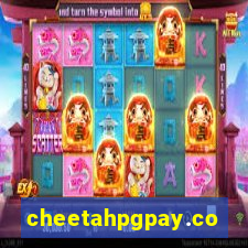 cheetahpgpay.com