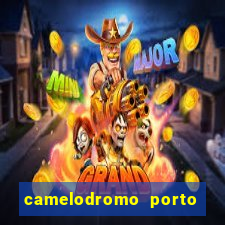 camelodromo porto alegre lojas