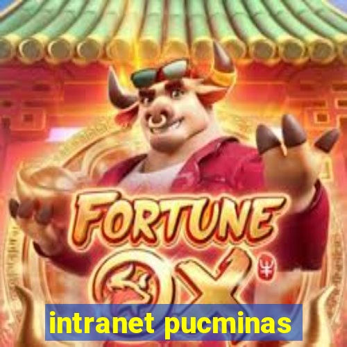 intranet pucminas