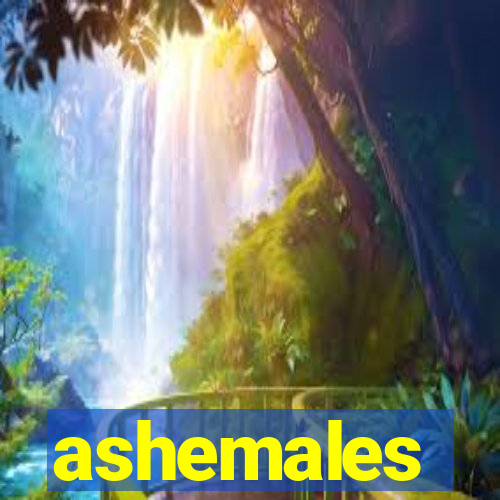 ashemales