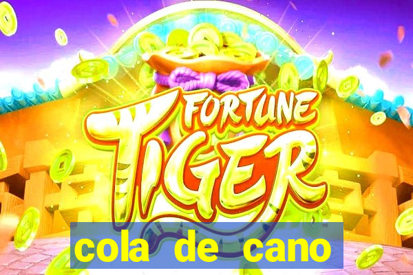 cola de cano quanto tempo para secar