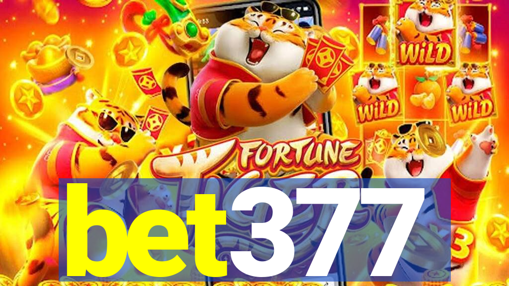 bet377