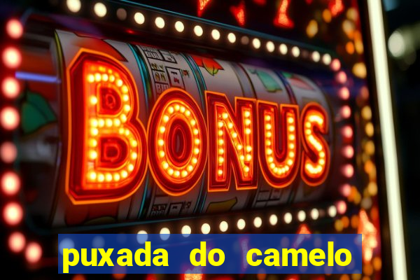 puxada do camelo jogo do bicho